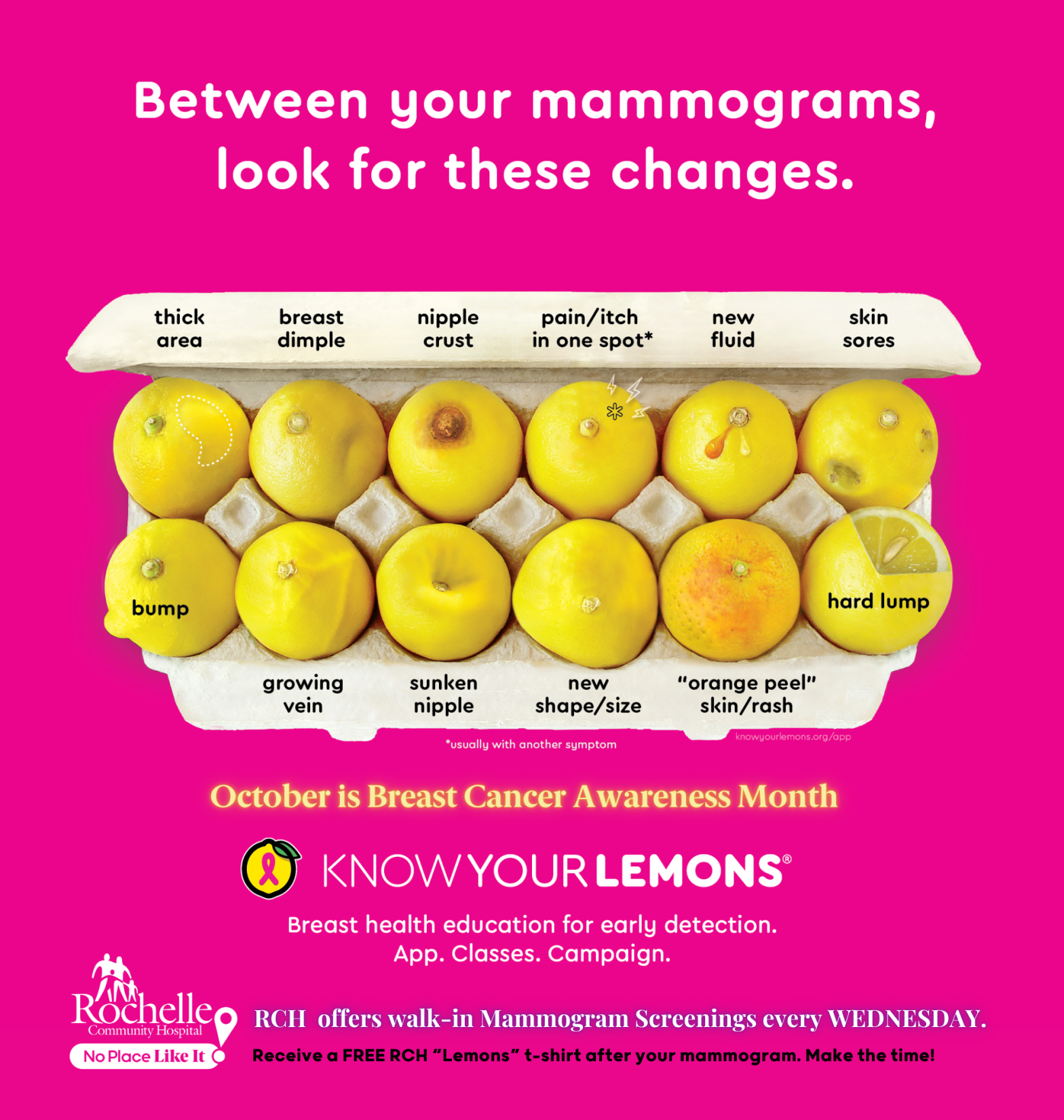 lemon image that shows what different things can look like